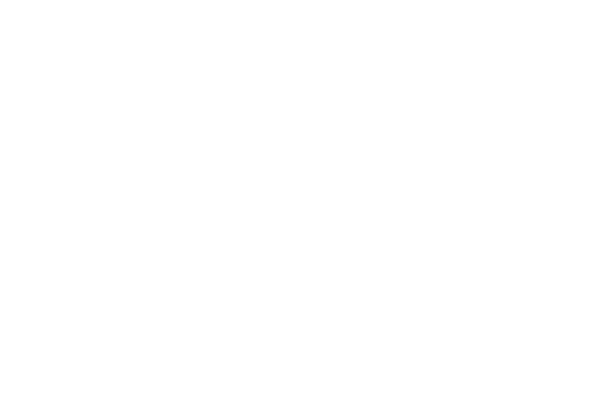 一种钻营美满的态度