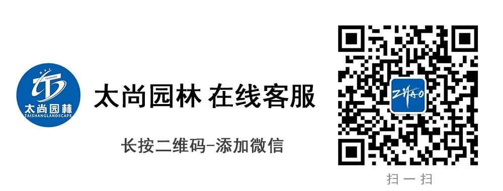 1-200404215204326 九游会在线·(中国)首页